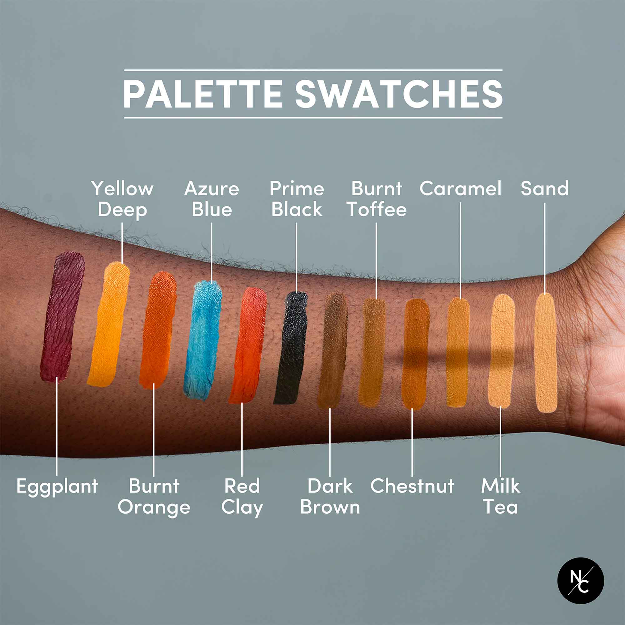 12 Color Dark Flesh Tone Alcohol Activated Palette