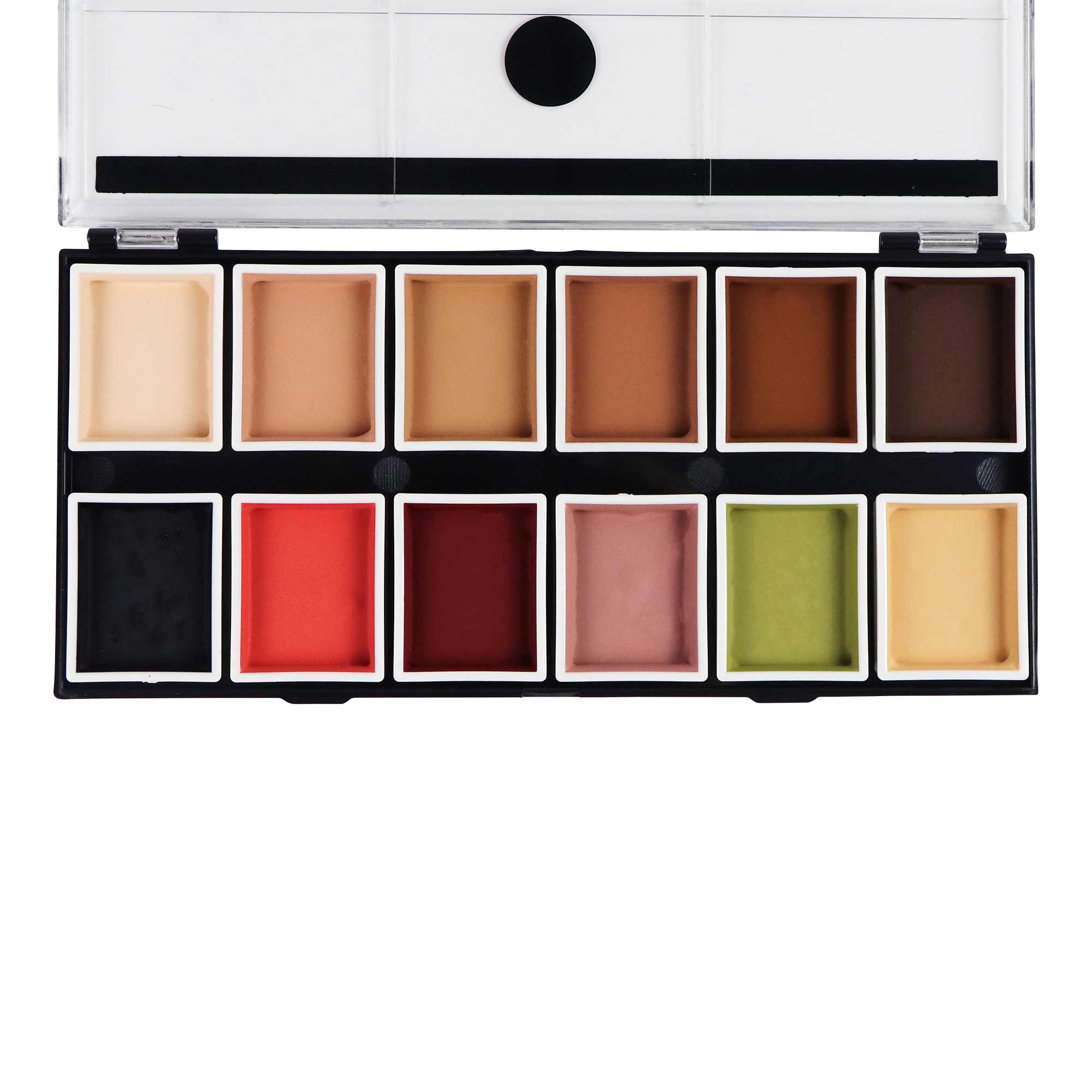 12-Color Tattoo Cover-Up Alcohol-Activated Palette top-down view showing all 12 shades