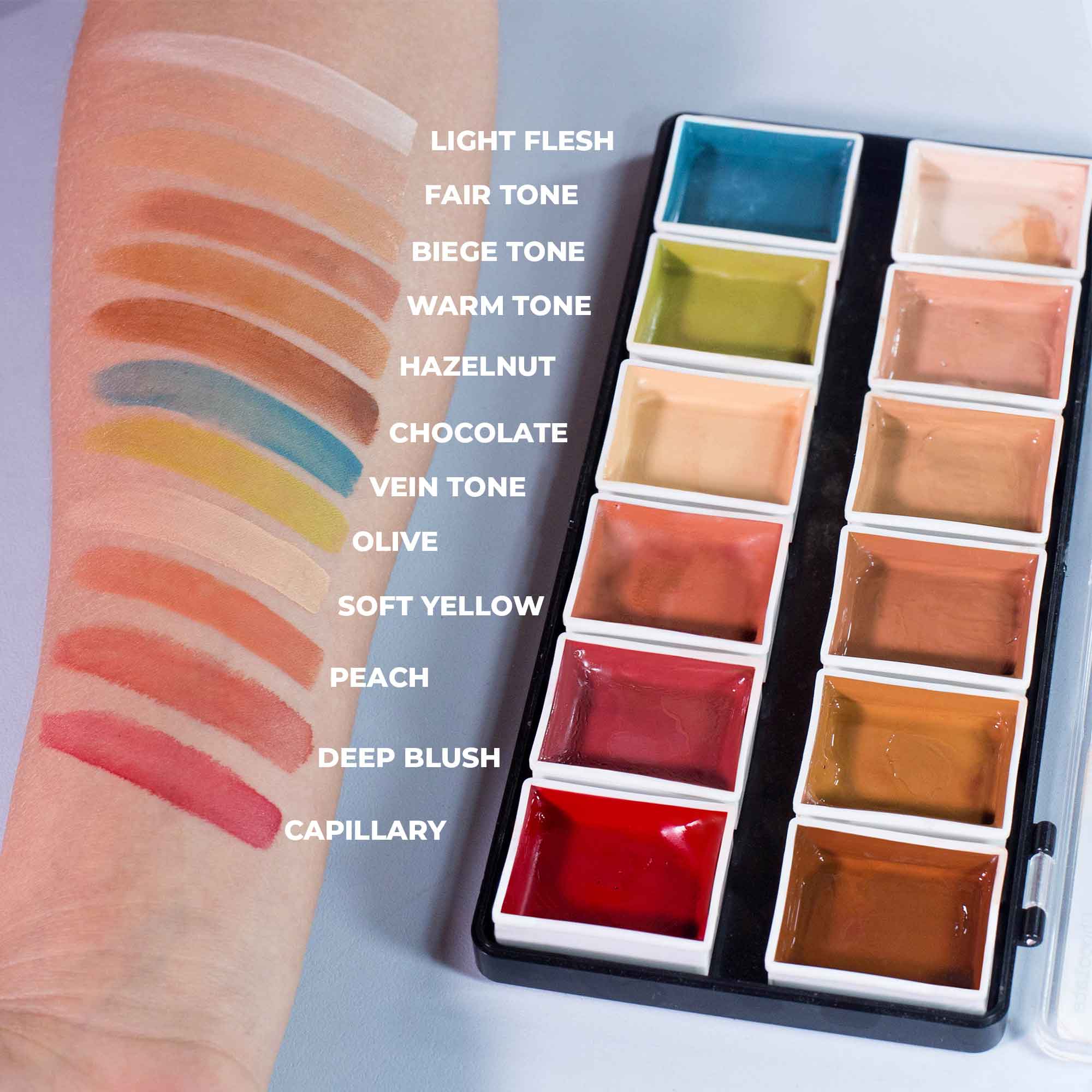 Flesh tone swatches on forearm beside open 12-color alcohol-activated palette