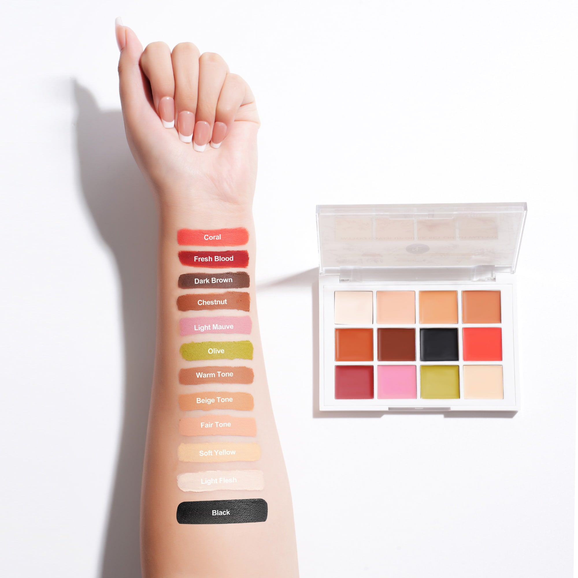 Quick-Set Cream Palette swatches on arm with palette showing all 12 shades
