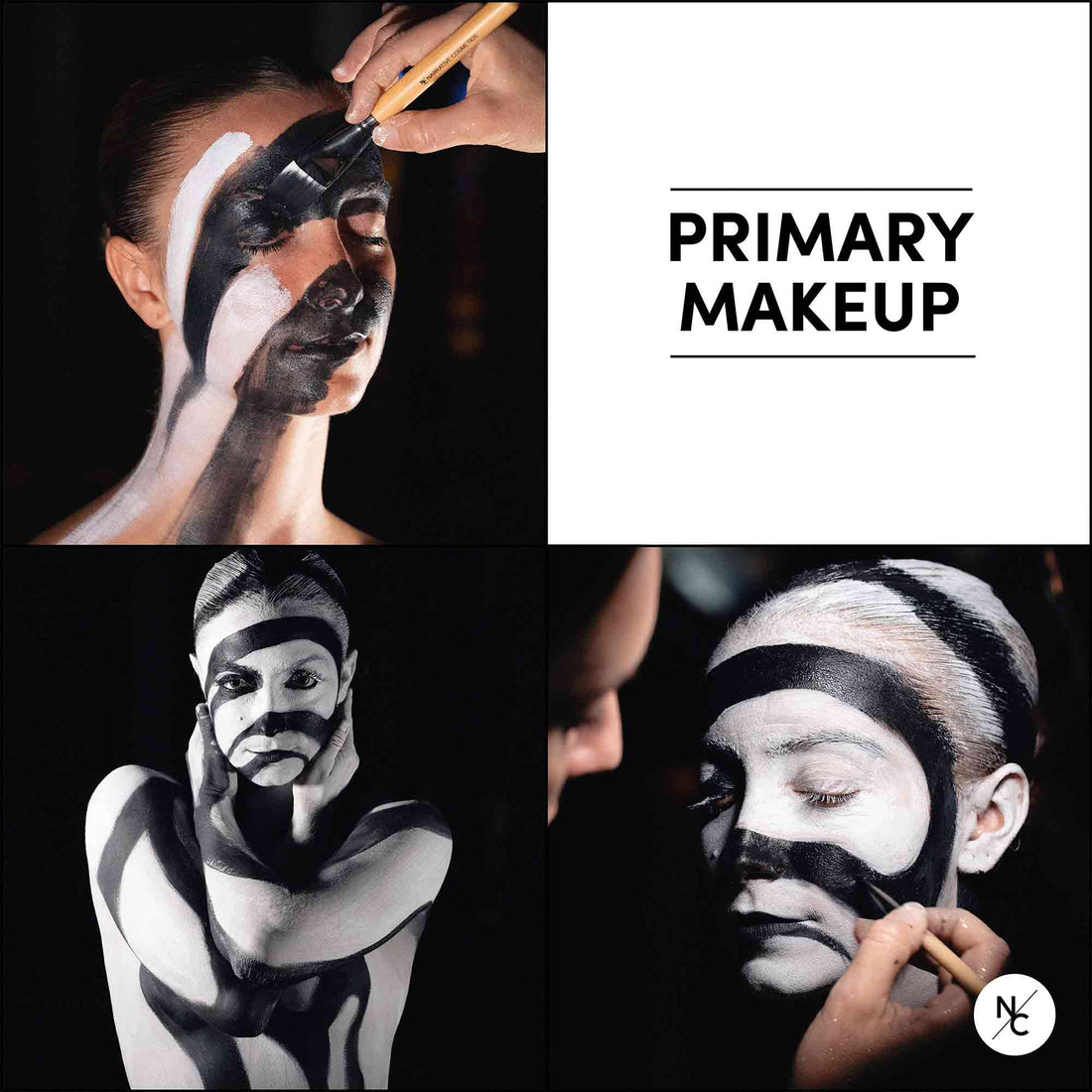 12 Color Primary Water Activated Palette