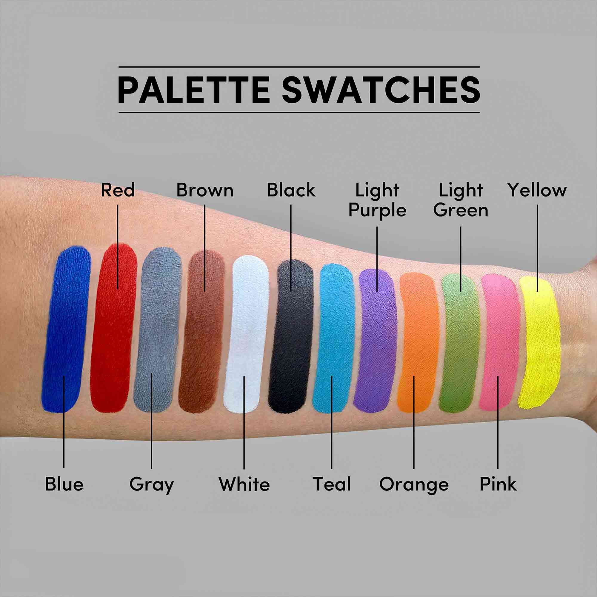 12 Color Primary Water Activated Palette
