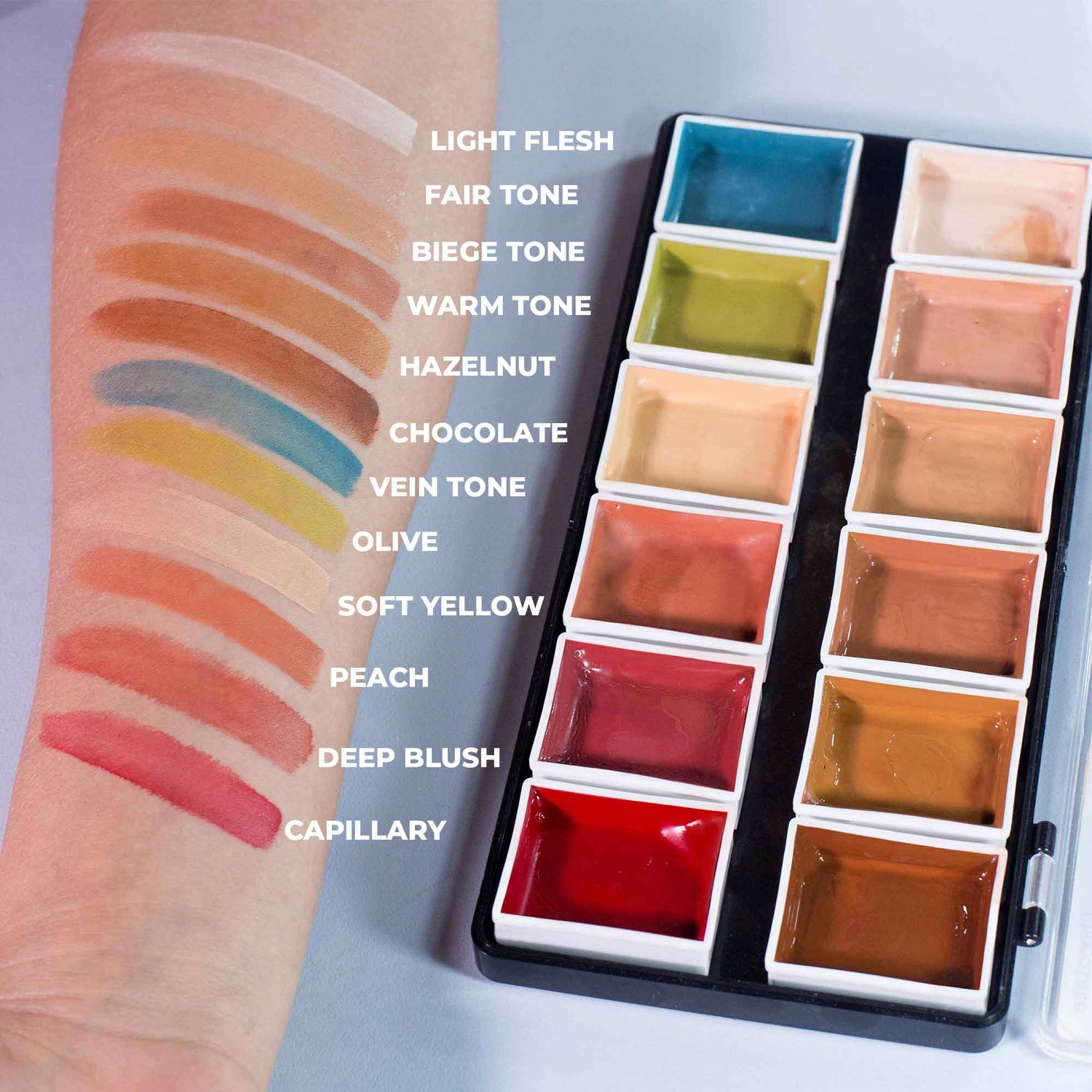 12 Color Flesh Tone Alcohol Activated Palette