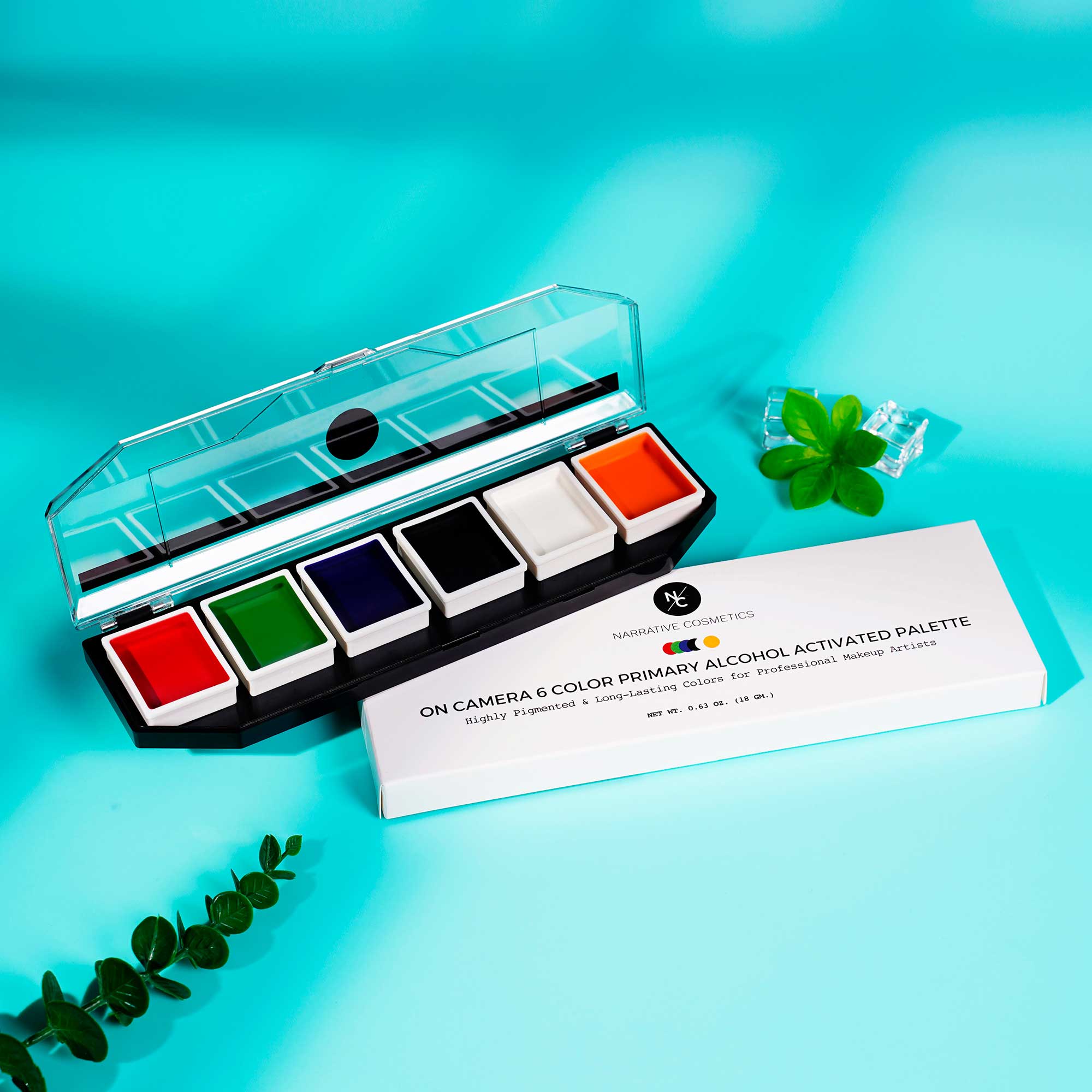 6 Color On Camera Primary Alcohol Activated Makeup Palette